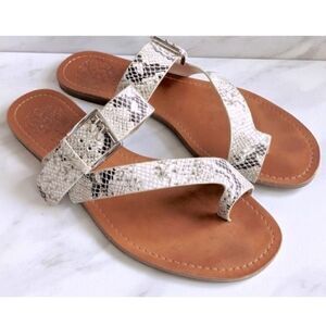 Vince Camuto Tadd Snakeskin Strappy Buckle Toe Sandals Sz 7.5